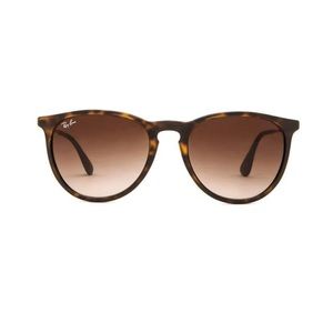 Ray Ban Erika Sunglasses